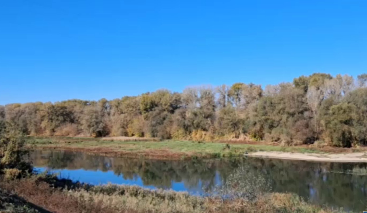 При расчистке русла реки в Саратовской области похитили из бюджета 34 миллиона рублей